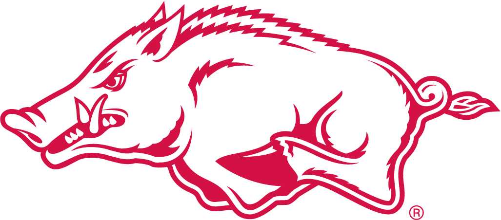 Arkansas Razorbacks 2001-Pres Alternate Logo v2 iron on transfers for T-shirts